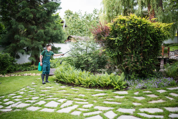 Best Exterminator Services  in Paris, IL