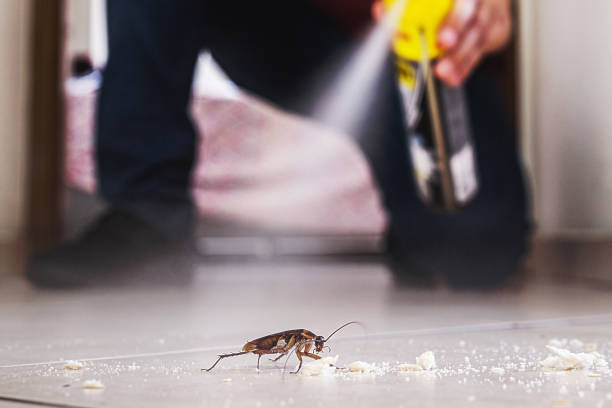 Reliable Paris, IL Pest Control Solutions