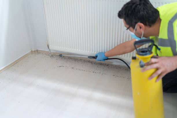 Best Residential Pest Control  in Paris, IL